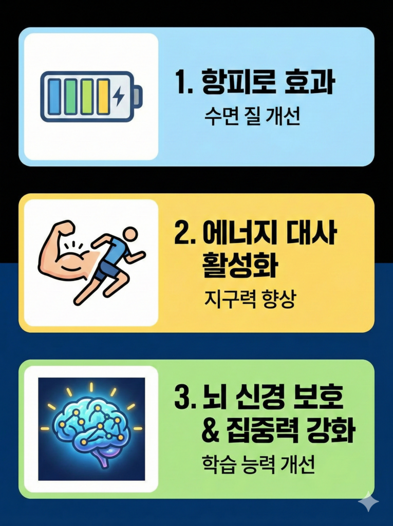 위례 한의원 공진단 복용법 (5)