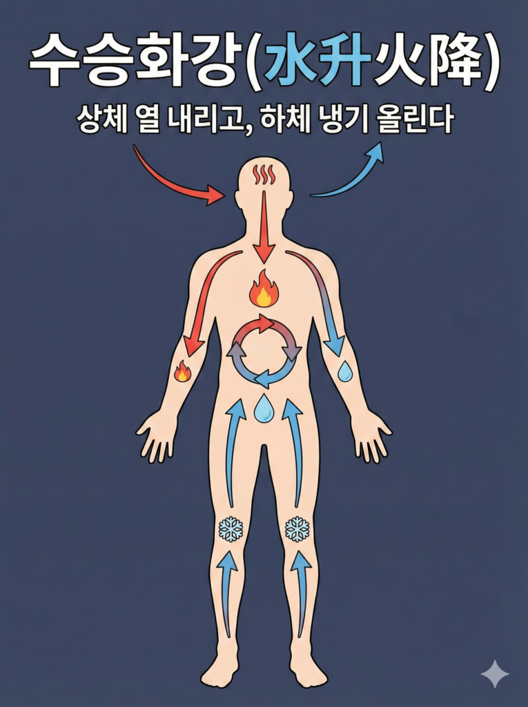 위례 한의원 공진단 복용법 (6)